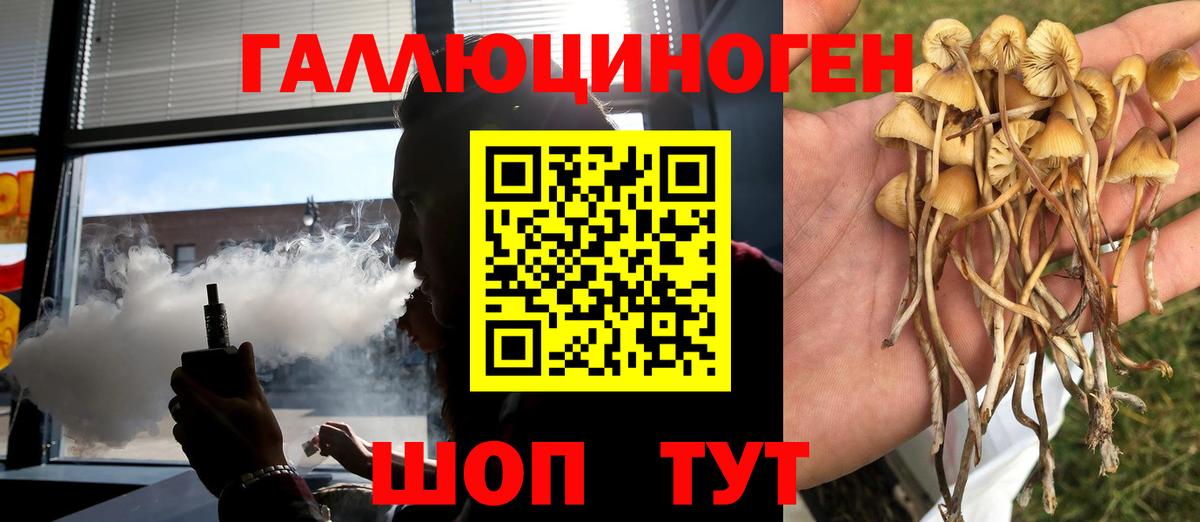 Псилоцибиновые грибы Magic Shrooms Ивантеевка