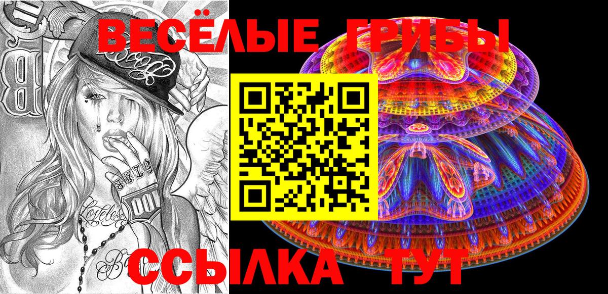 Ивантеевка  Псилоцибиновые грибы ЛСД  Вход с VPN 